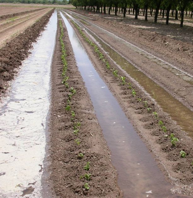 Image of tilled field with water